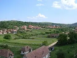 Bădeni