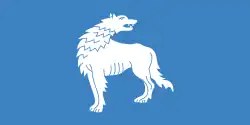 Flag of Vawkavysk district