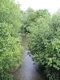 Looking the mill stream towards Oxford Castle.