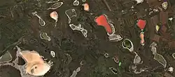 The colorful salt lakes of Kupinsky District