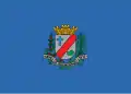 Flag of São Joaquim da Barra