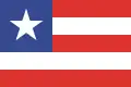 Flag of Paranacity