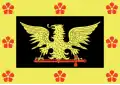 Flag of Olímpia
