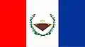 Flag of Várzea, Paraíba