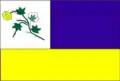 Flag of São José do Sabugi