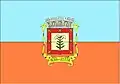 Flag of Cardoso