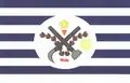Flag of Rio Crespo