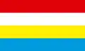 Flag of San Antonio de Putina