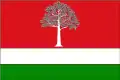 Flag of El Fresno