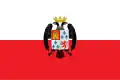 Flag of Montalbán de Córdoba