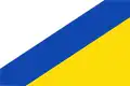 Flag of San Miguel del Valle
