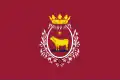 Flag of Teruel