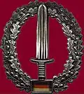 Badge worn on beret