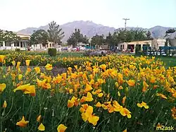 Barki Park