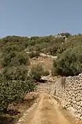 Camí de Cavalls. Stage 16, Barranc de Cala en Porter.