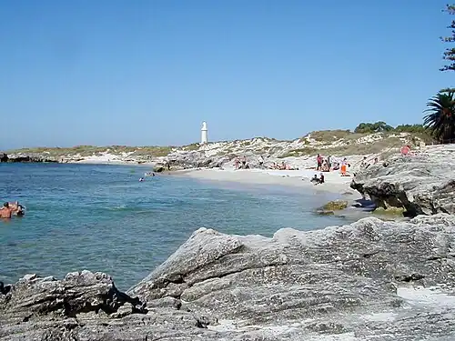 Swimmers in the middle part of the Basin