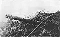 Heliodor Laskowski's battery in 1939