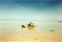 An M4 Sherman rests in the lagoon