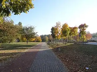 View of an alley
