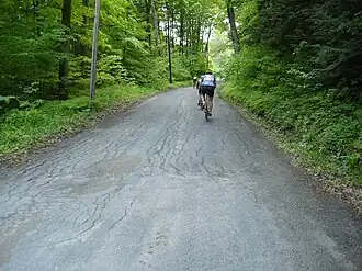 Forest road
