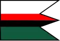 Flag of Becherov
