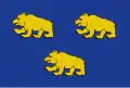 Flag of Beernem