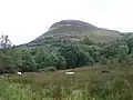 Benaughlin summit
