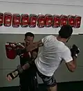 MMA and striking under Daniel Woirin