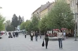 Town of Berane
