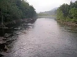 The Black Fork at Hendricks, as viewed downstream