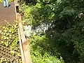 reinforced concrete exhaust/blast pit that directed rocket blasts "out and away" from test gantry. "very overgrown and has appx. 4-5 feet of stagnant standing water"