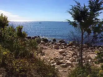 Seascape
