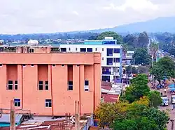 Boditi
