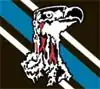 Shirt badge/Association crest