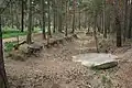 Image 84Pineferous forest of the sandy Bagshot Formation spanning parts of four boroughs towards the north-west and in the far west of the county, with defensive positions for historic army training near Deepcut and Pirbright (from Portal:Surrey/Selected pictures)