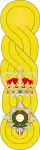 1881 to 1902 lieutenant colonel's shoulder rank insignia