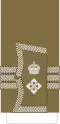 Lieutenant-Colonel