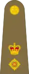 Lieutenant colonel
