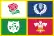 British & Irish Lions
