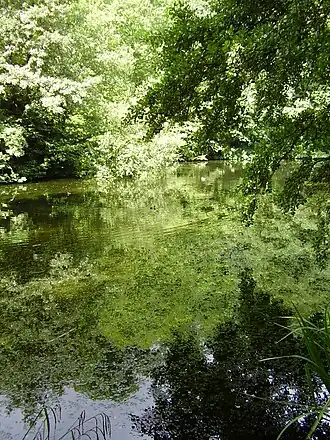 Image 76 Credit: O1ive Brockhill Country Park is dominated by a large grassy valley, bisected by the Brockhill Stream as it makes its way to the Royal Military Canal at Hythe. More about Brockhill Country Park... (from Portal:Kent/Selected pictures)
