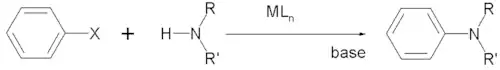 The Buchwald-Hartwig reaction