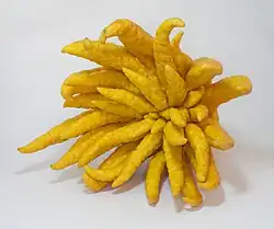 With open fingers