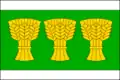 Flag of Budíkov