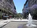 Pedestrian section of Diagonal Norte Avenue