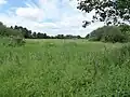 Bugg's Hole Fen