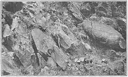 Tight folds in the schist of Antietam Formation