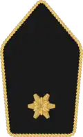 Leutnant (Austrian Army)[10]