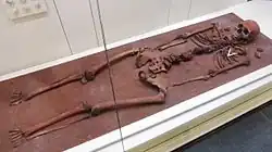 Reconstruction of burial No. 132 of the Oleneostrovsky burial ground (Yuzhni Oleny island, Lake Onega). Exhibit of the National Museum of the Republic of Karelia.[7]