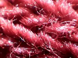 Polyester yarn