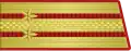 Lieutenant Colonel (Infantry)